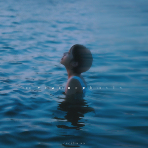 成人日韩熟女高清视频一区
