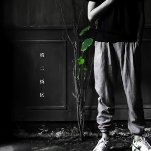 成人日韩熟女高清视频一区
