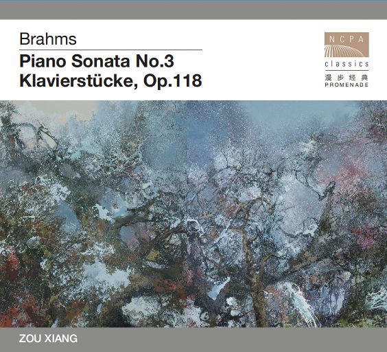 成人日韩熟女高清视频一区
